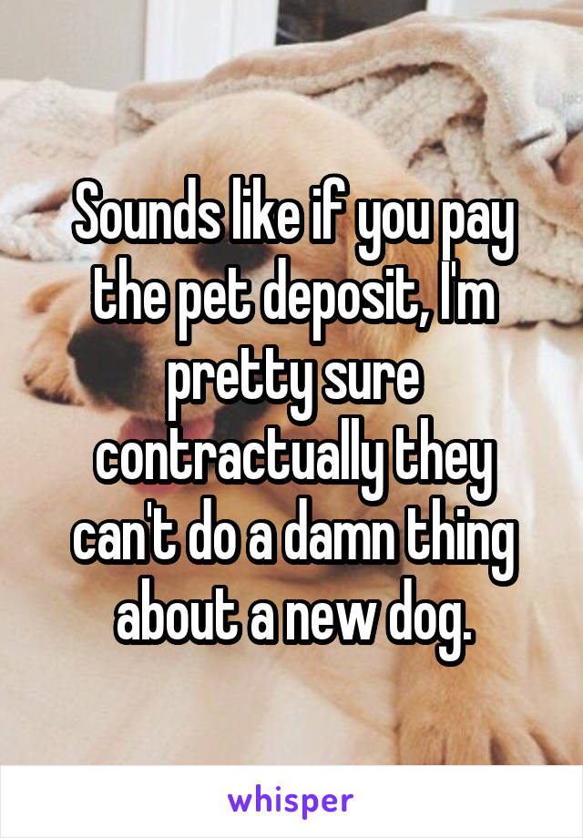 Sounds like if you pay the pet deposit, I'm pretty sure contractually they can't do a damn thing about a new dog.