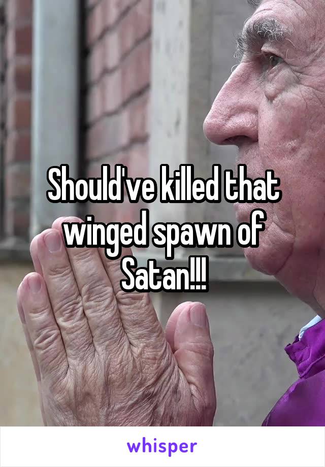 Should've killed that winged spawn of Satan!!!