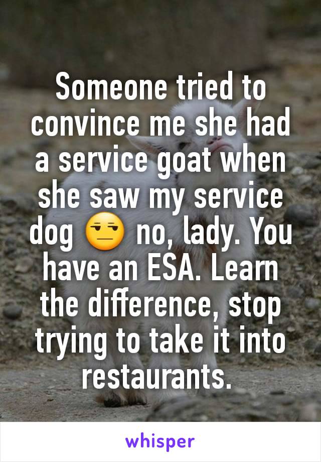 Someone tried to convince me she had a service goat when she saw my service dog 😒 no, lady. You have an ESA. Learn the difference, stop trying to take it into restaurants. 