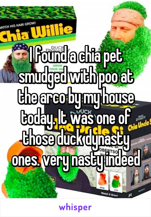 I found a chia pet smudged with poo at the arco by my house today. It was one of those duck dynasty ones. very nasty indeed