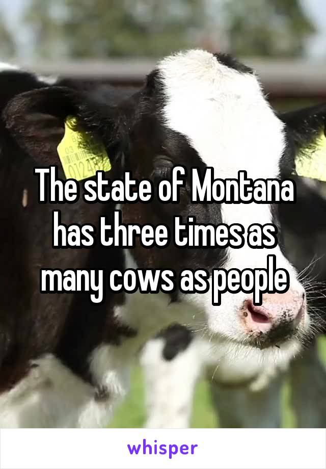 The state of Montana has three times as many cows as people
