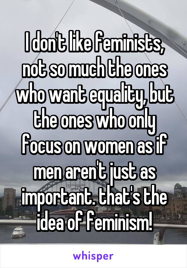 I don't like feminists, not so much the ones who want equality, but the ones who only focus on women as if men aren't just as important. that's the idea of feminism!