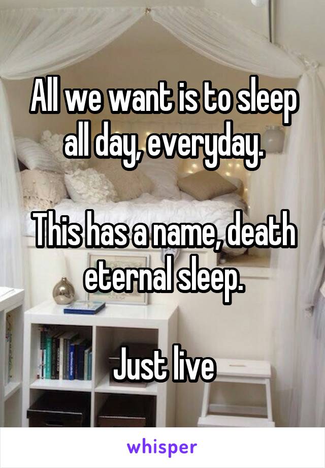 All we want is to sleep all day, everyday.

This has a name, death eternal sleep.

Just live
