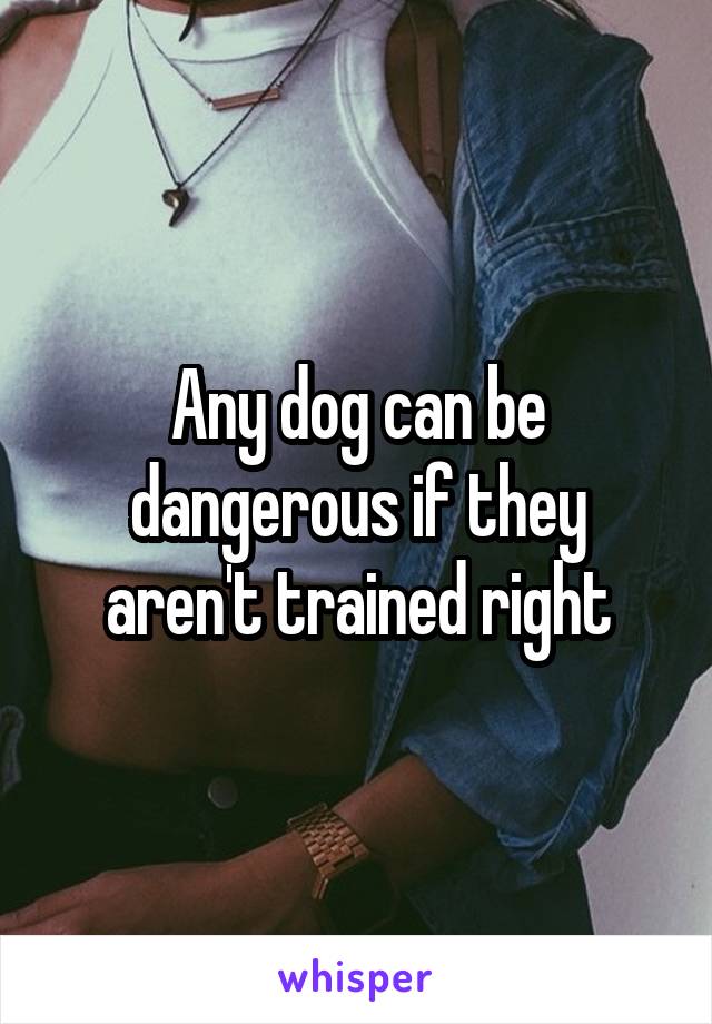 Any dog can be dangerous if they aren't trained right