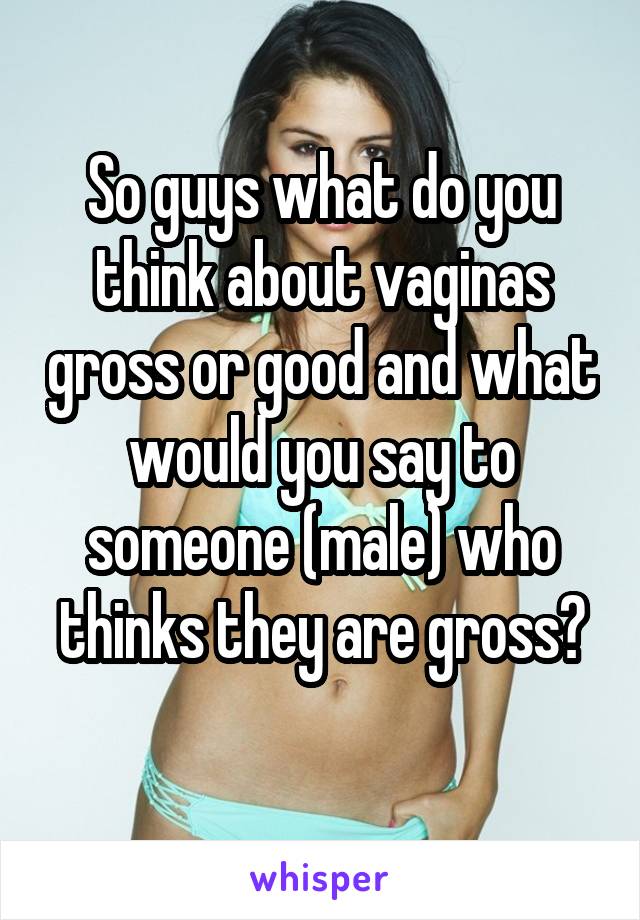 So guys what do you think about vaginas gross or good and what would you say to someone (male) who thinks they are gross?
