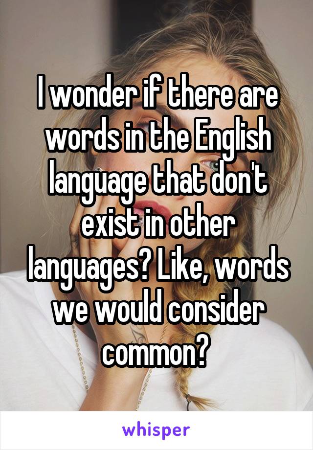 I wonder if there are words in the English language that don't exist in other languages? Like, words we would consider common? 