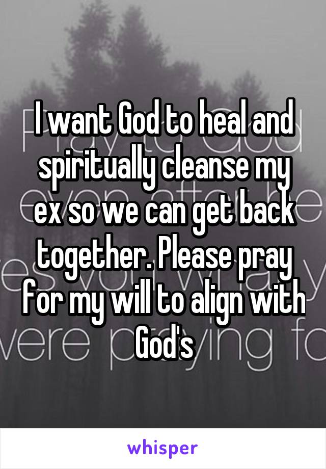 I want God to heal and spiritually cleanse my ex so we can get back together. Please pray for my will to align with God's
