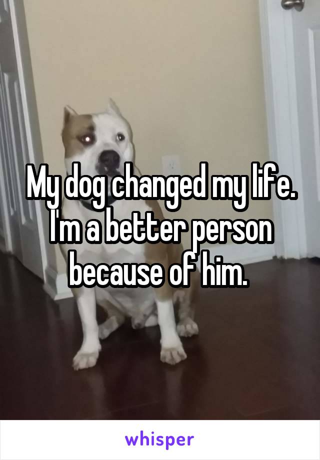 My dog changed my life. I'm a better person because of him. 