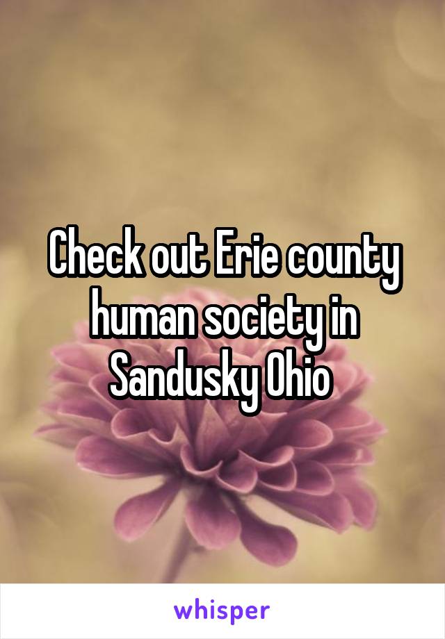 Check out Erie county human society in Sandusky Ohio 