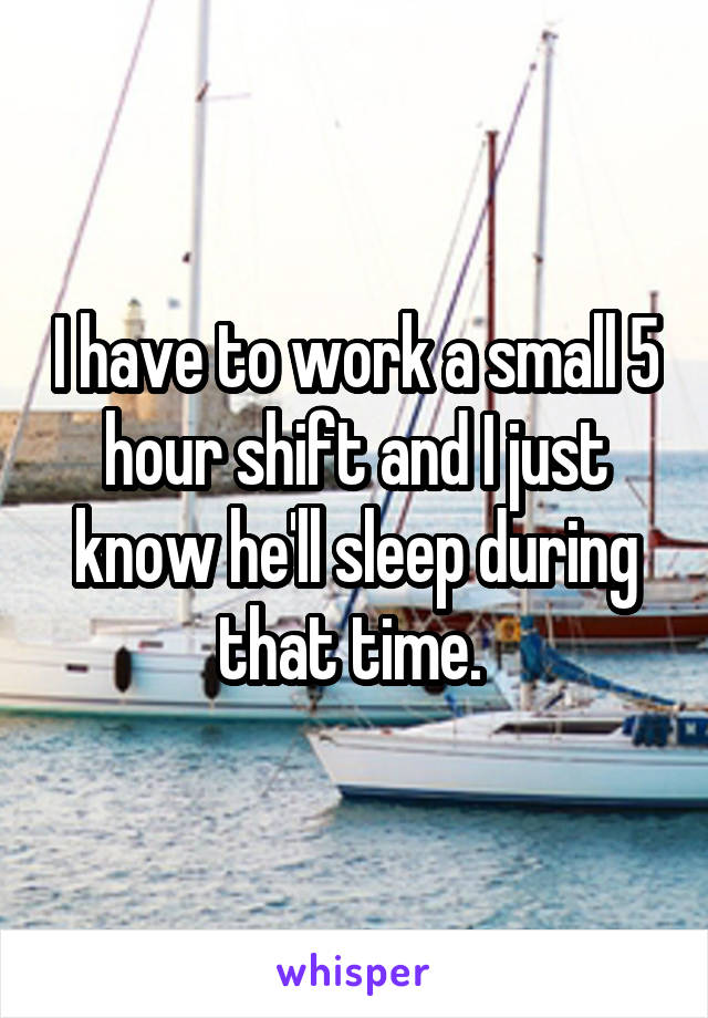 I have to work a small 5 hour shift and I just know he'll sleep during that time. 
