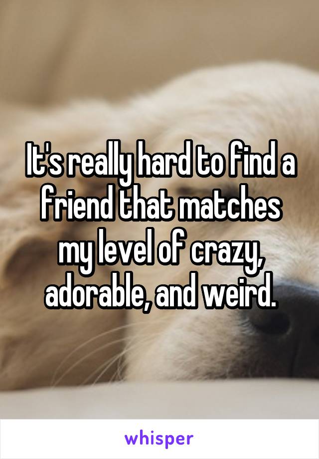 It's really hard to find a friend that matches my level of crazy, adorable, and weird.