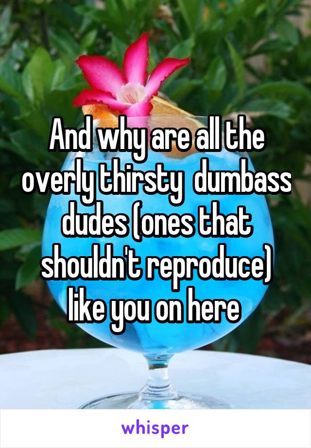 And why are all the overly thirsty  dumbass dudes (ones that shouldn't reproduce) like you on here 