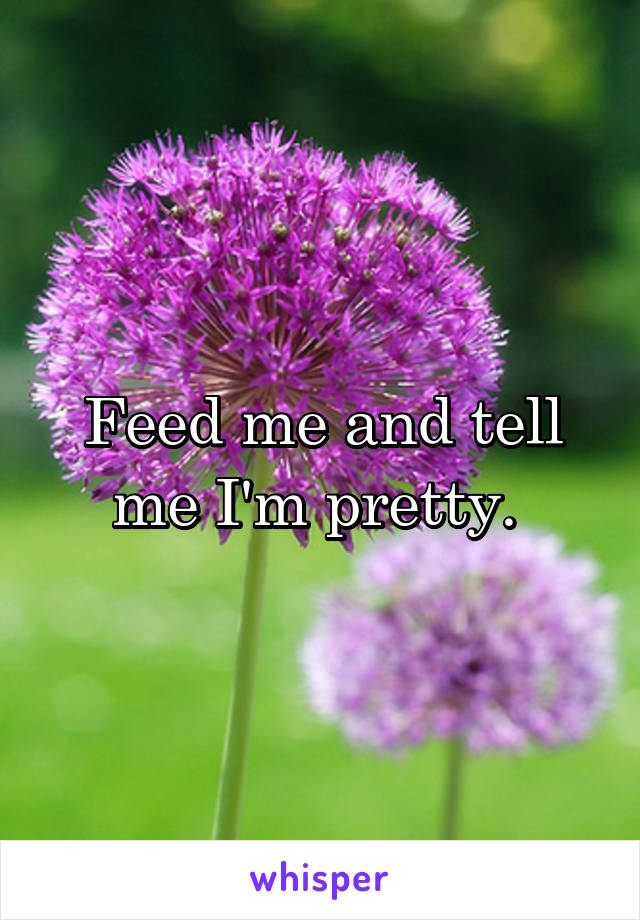 Feed me and tell me I'm pretty. 