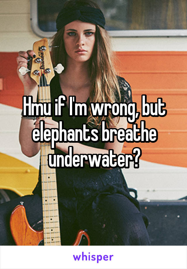 Hmu if I'm wrong, but elephants breathe underwater?