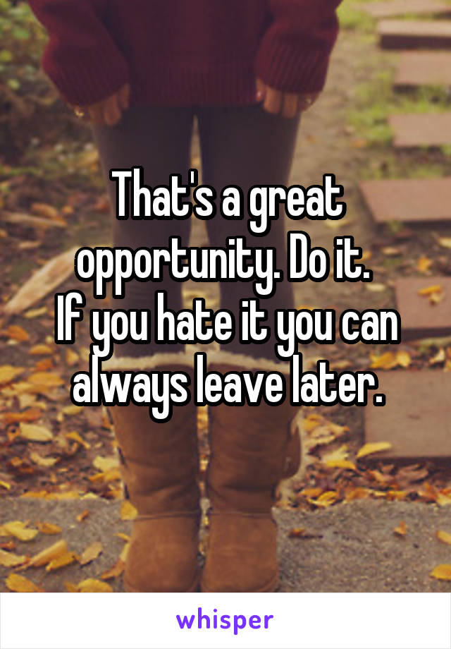 That's a great opportunity. Do it. 
If you hate it you can always leave later.
