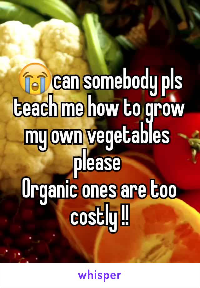 😭can somebody pls teach me how to grow my own vegetables 
please 
Organic ones are too costly !!
