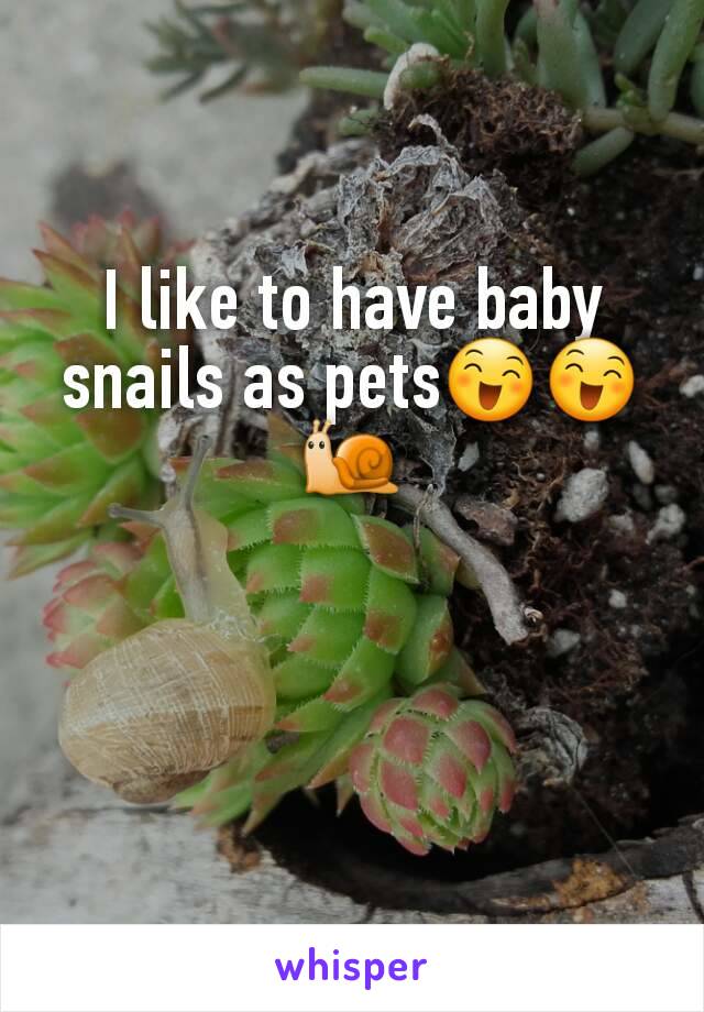 I like to have baby snails as pets😄😄🐌