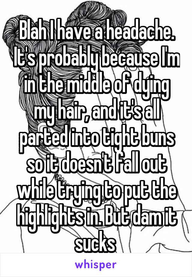 Blah I have a headache. It's probably because I'm in the middle of dying my hair, and it's all parted into tight buns so it doesn't fall out while trying to put the highlights in. But dam it sucks 