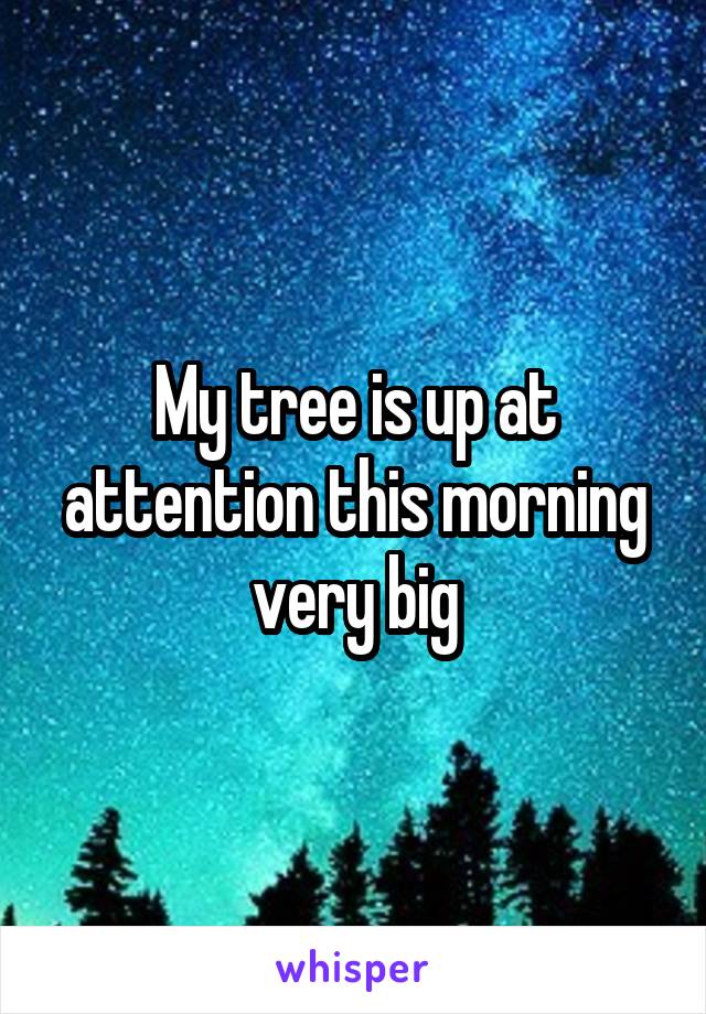 My tree is up at attention this morning very big