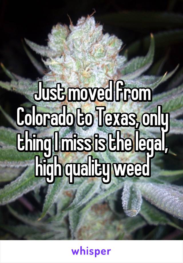 Just moved from Colorado to Texas, only thing I miss is the legal, high quality weed