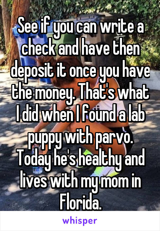 See if you can write a check and have then deposit it once you have the money. That's what I did when I found a lab puppy with parvo. Today he's healthy and lives with my mom in Florida.