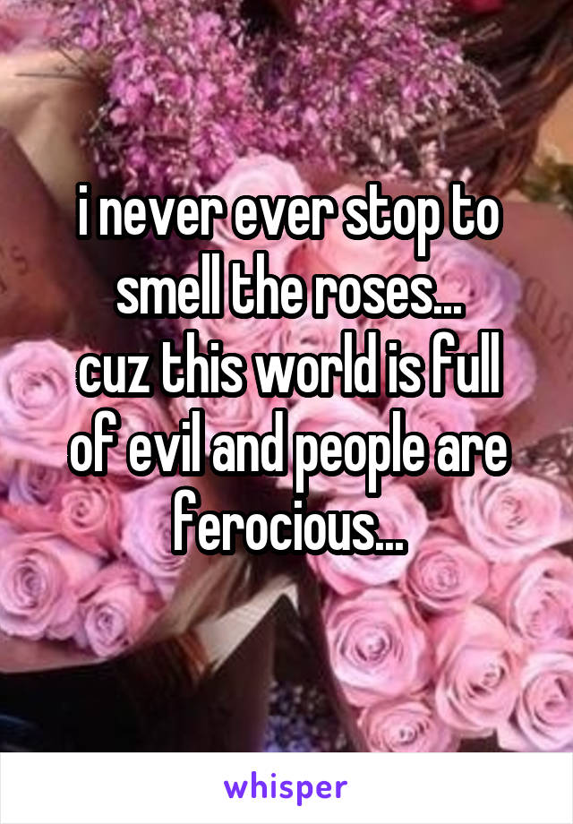 i never ever stop to smell the roses...
cuz this world is full of evil and people are ferocious...
