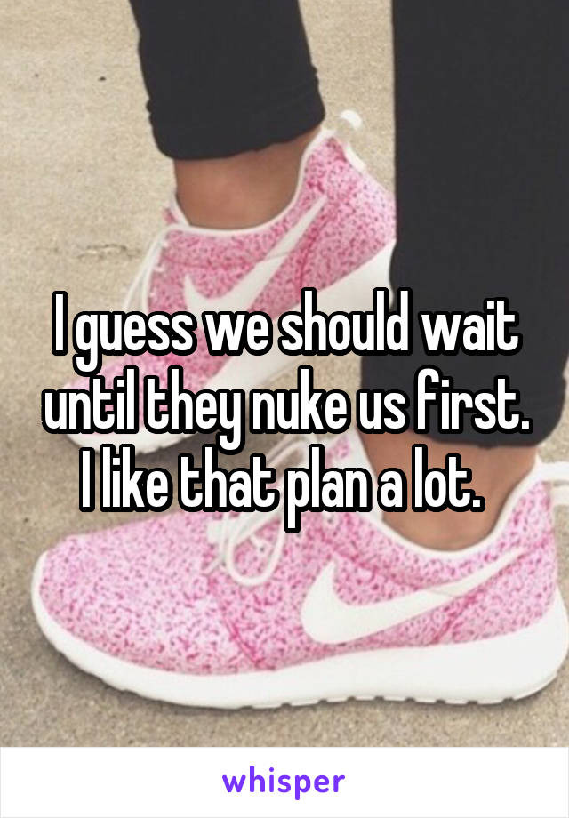 I guess we should wait until they nuke us first. I like that plan a lot. 