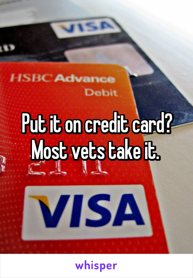 Put it on credit card?
Most vets take it. 
