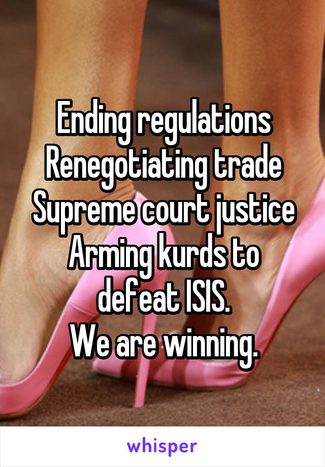 Ending regulations
Renegotiating trade
Supreme court justice
Arming kurds to defeat ISIS.
We are winning.