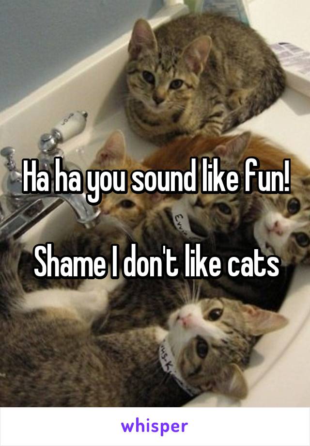 Ha ha you sound like fun!

Shame I don't like cats