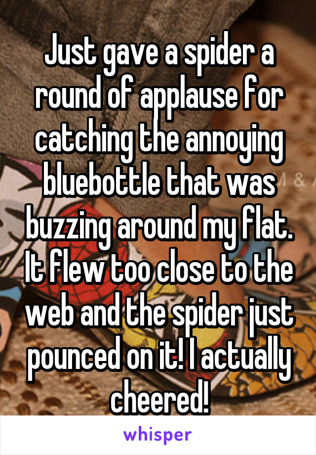 Just gave a spider a round of applause for catching the annoying bluebottle that was buzzing around my flat. It flew too close to the web and the spider just pounced on it! I actually cheered!