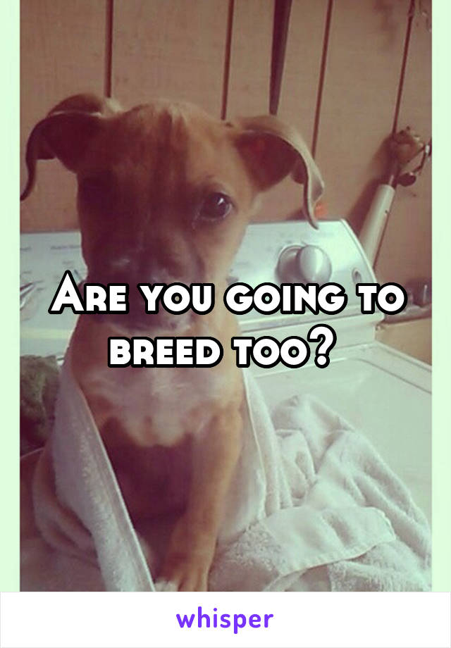 Are you going to breed too? 