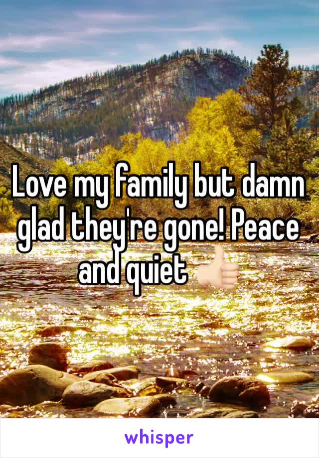 Love my family but damn glad they're gone! Peace and quiet 👍🏻