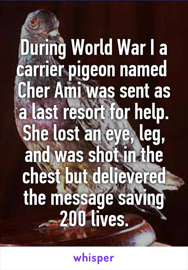 During World War I a carrier pigeon named  Cher Ami was sent as a last resort for help. She lost an eye, leg, and was shot in the chest but delievered the message saving 200 lives.