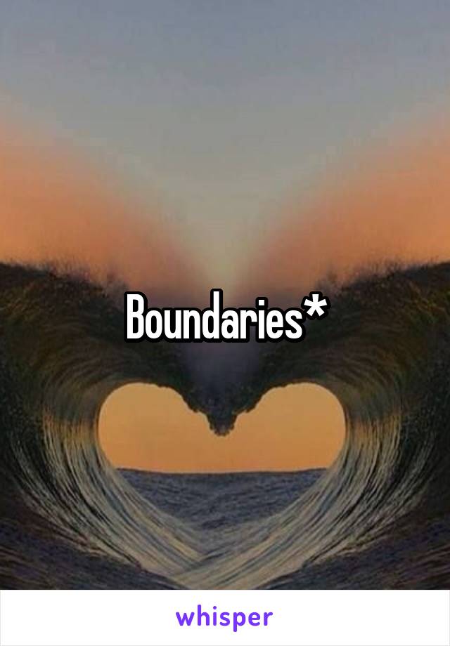 Boundaries*