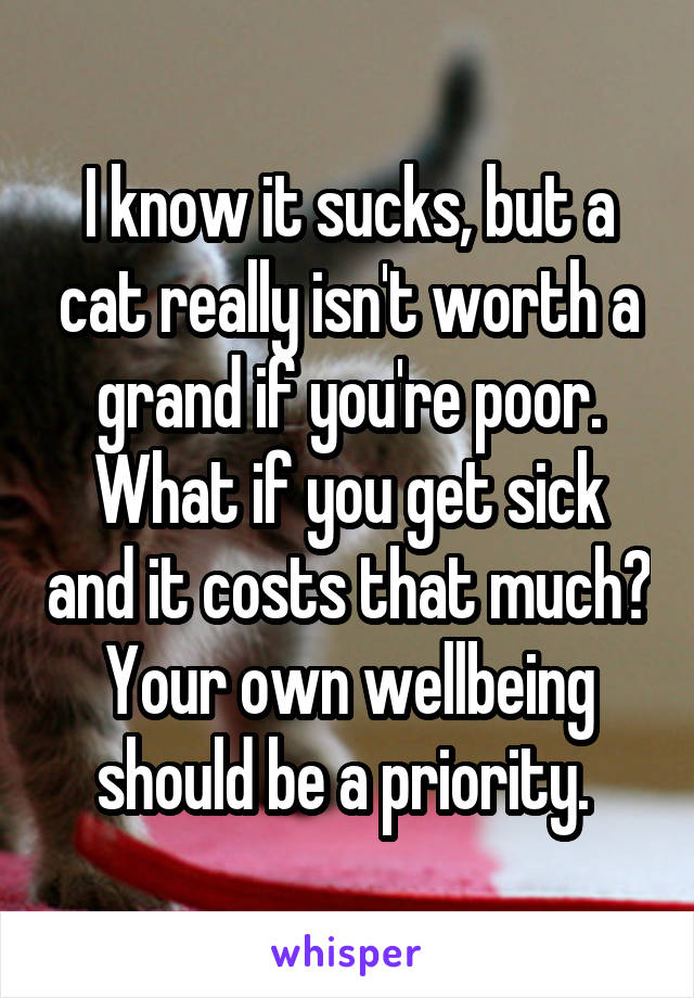 I know it sucks, but a cat really isn't worth a grand if you're poor. What if you get sick and it costs that much? Your own wellbeing should be a priority. 