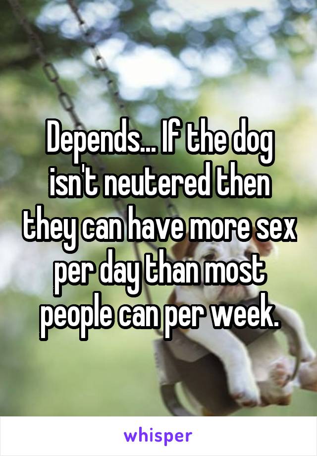 Depends... If the dog isn't neutered then they can have more sex per day than most people can per week.