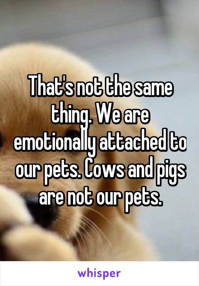 That's not the same thing. We are emotionally attached to our pets. Cows and pigs are not our pets.