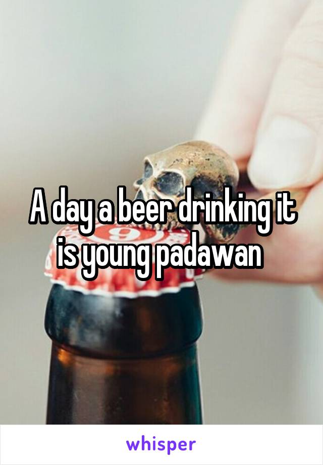 A day a beer drinking it is young padawan 