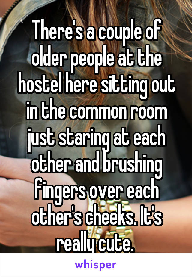 There's a couple of older people at the hostel here sitting out in the common room just staring at each other and brushing fingers over each other's cheeks. It's really cute. 