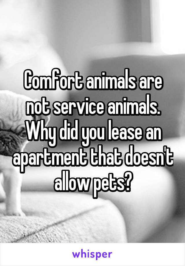 Comfort animals are not service animals. Why did you lease an apartment that doesn't allow pets?