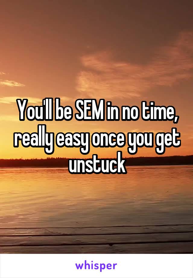 You'll be SEM in no time, really easy once you get unstuck