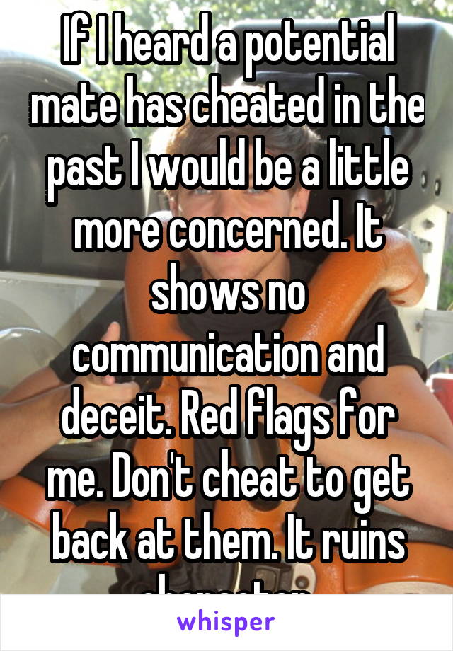 If I heard a potential mate has cheated in the past I would be a little more concerned. It shows no communication and deceit. Red flags for me. Don't cheat to get back at them. It ruins character.