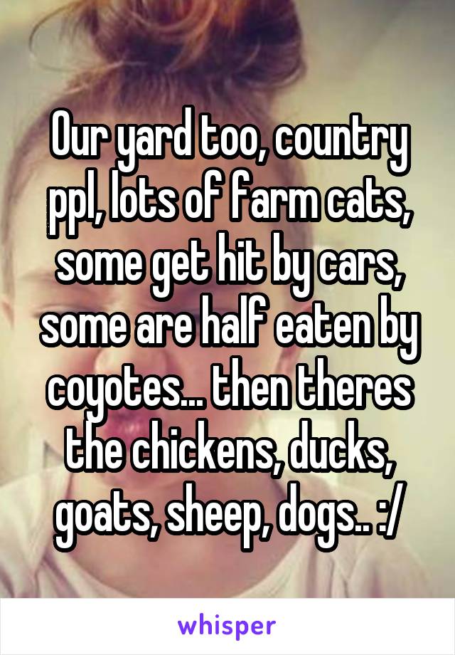 Our yard too, country ppl, lots of farm cats, some get hit by cars, some are half eaten by coyotes... then theres the chickens, ducks, goats, sheep, dogs.. :/