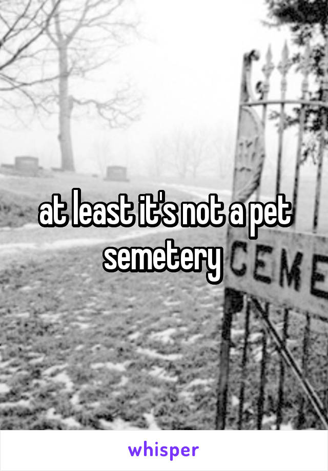 at least it's not a pet semetery 