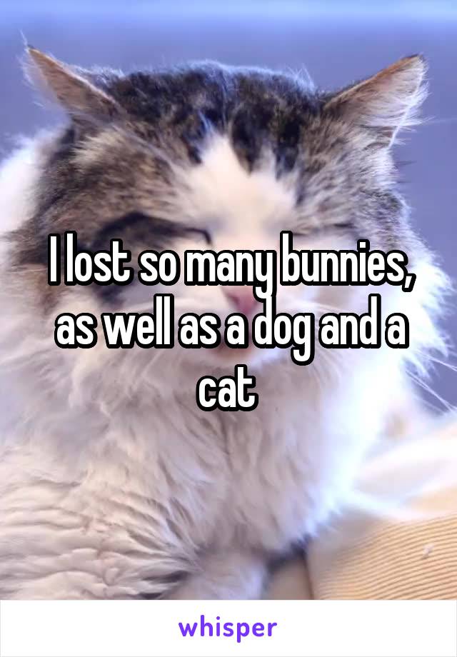 I lost so many bunnies, as well as a dog and a cat 