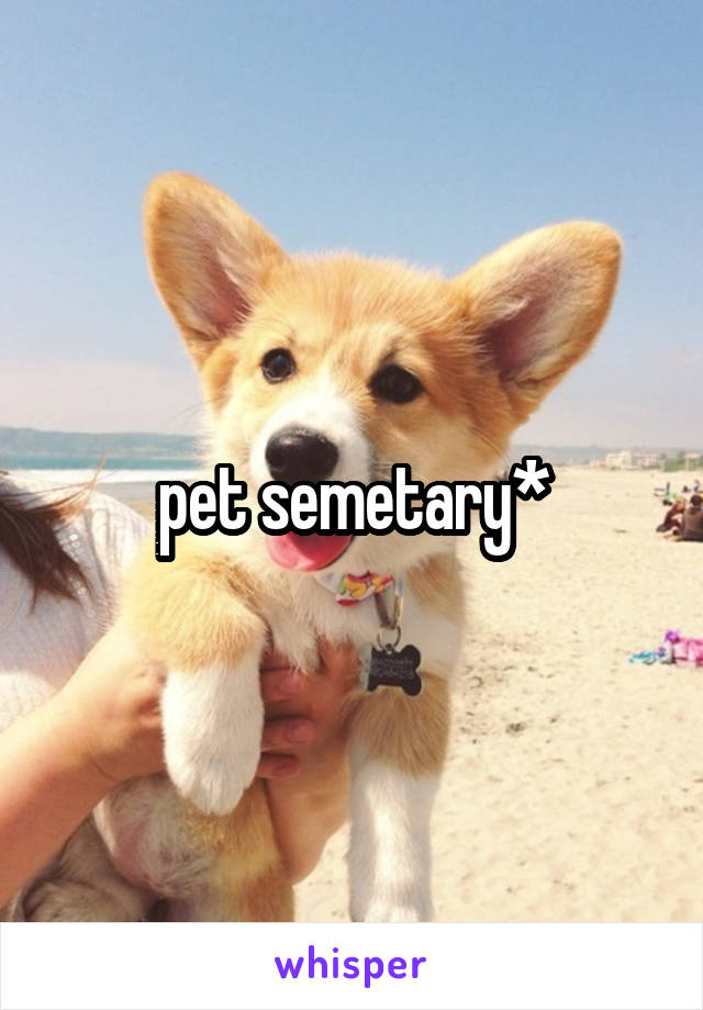 pet semetary*