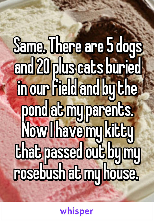 Same. There are 5 dogs and 20 plus cats buried in our field and by the pond at my parents. Now I have my kitty that passed out by my rosebush at my house. 