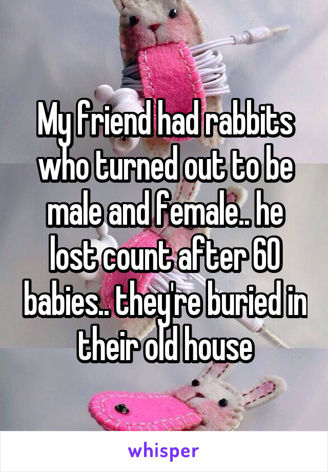 My friend had rabbits who turned out to be male and female.. he lost count after 60 babies.. they're buried in their old house