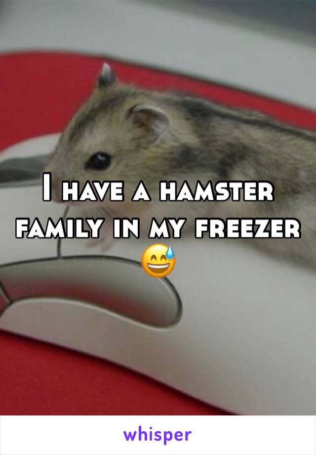 I have a hamster family in my freezer 😅